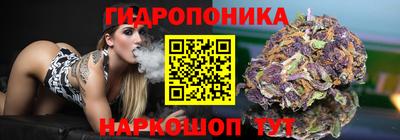 mdpv Гусиноозёрск