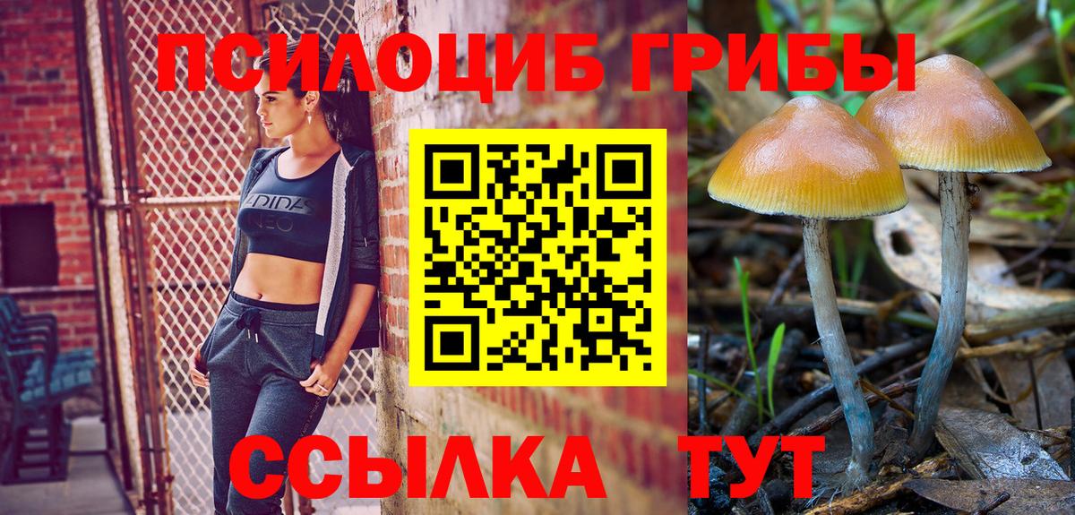 Галлюциногенные грибы прущие грибы Нововоронеж