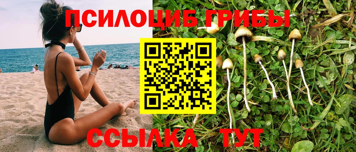 Нововоронеж  Галлюциногенные грибы Cubensis  Вход с VPN  Галлюциногенные грибы Cubensis 